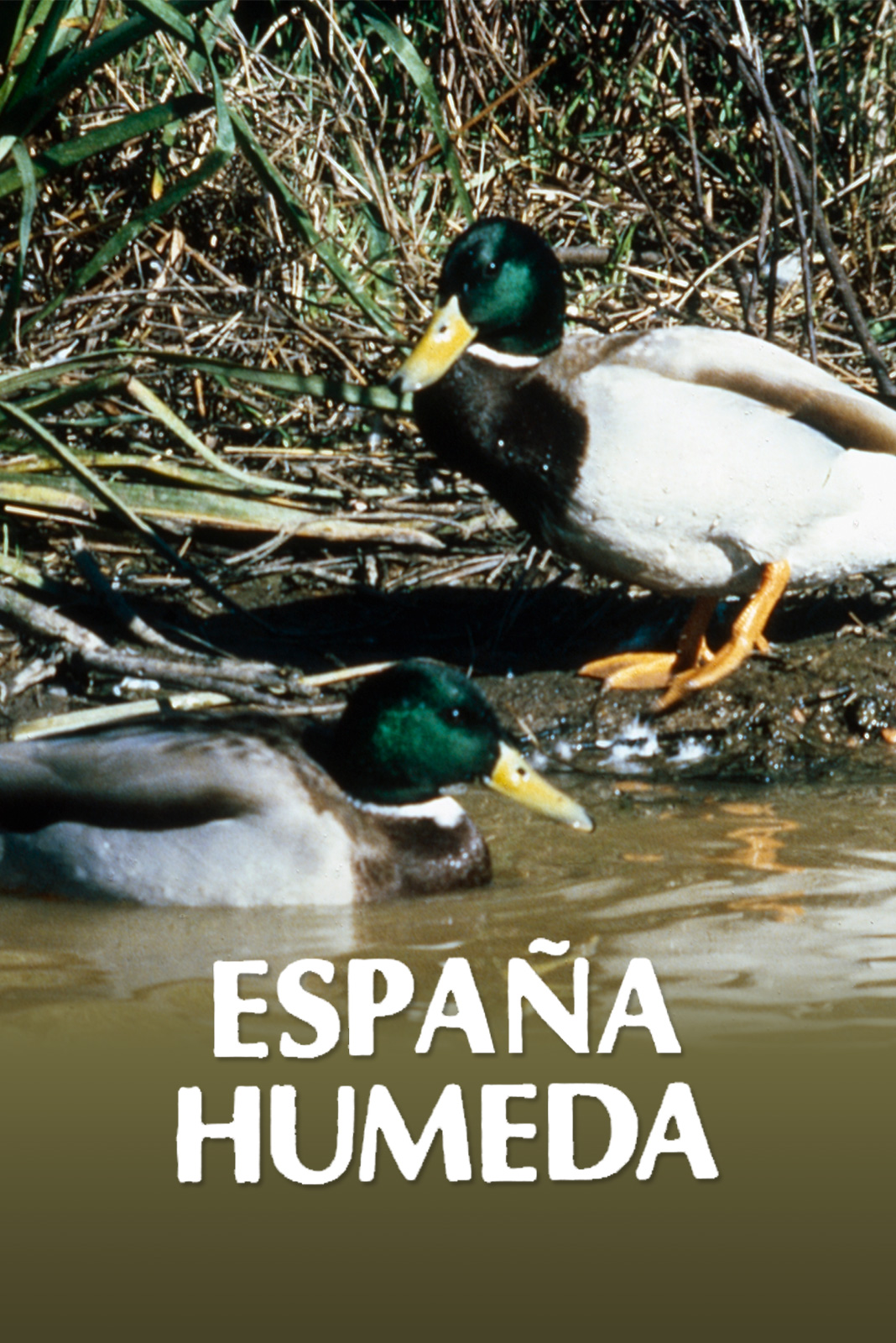 España húmeda