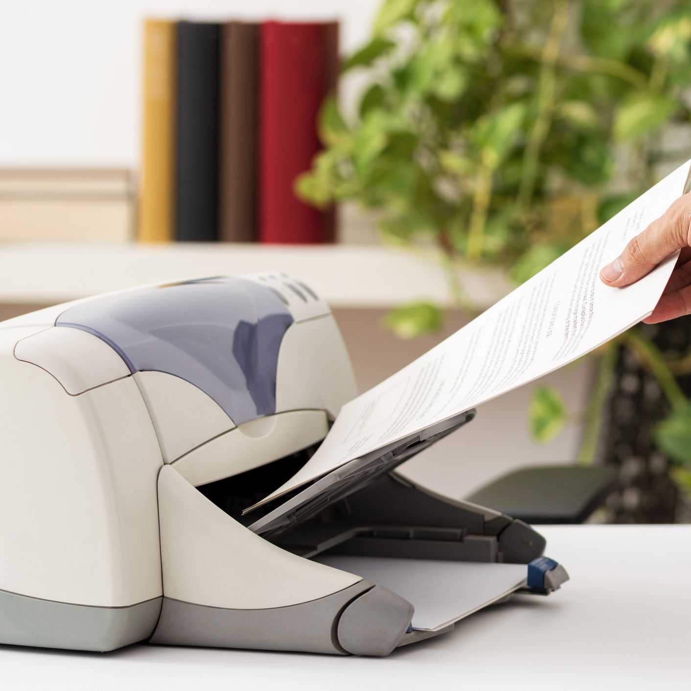 El español urgente con FundéuRAE - «Freído», «imprimido», «proveído» - 25/08/25