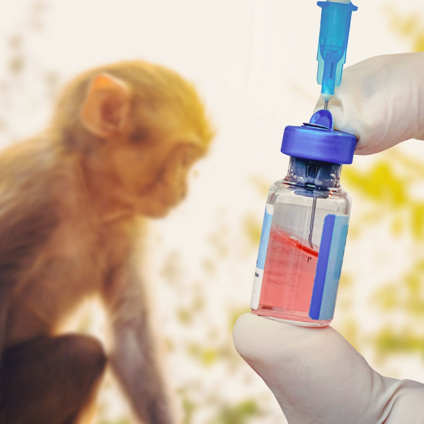 El español urgente con FundéuRAE - Zoonótico - 26/12/25