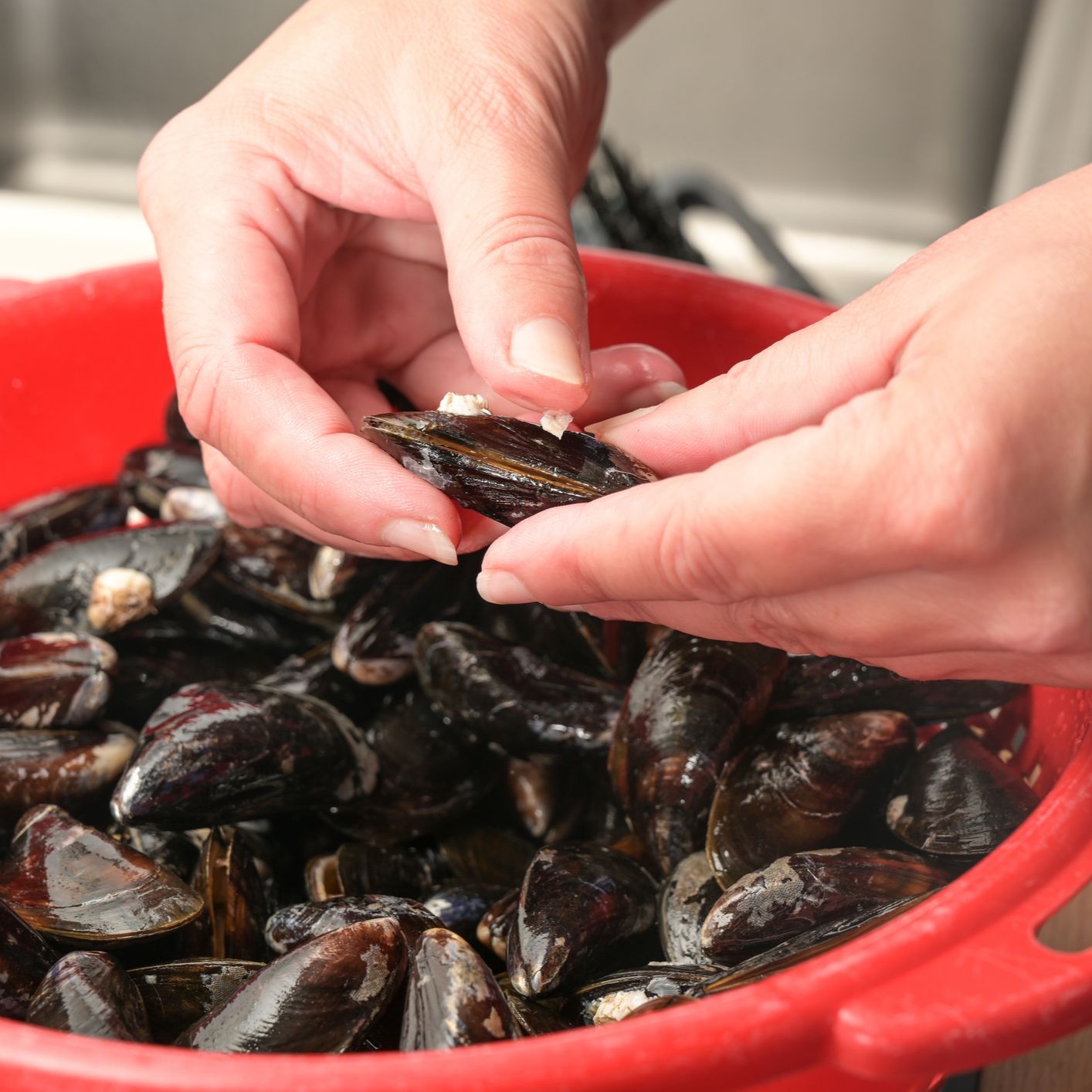 Españoles en la mar - La importante labor de la mujer en Galicia