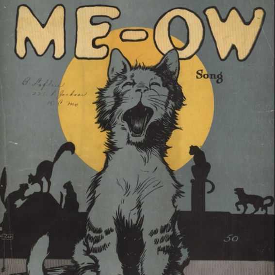 Melodías pizarras - Especial Gatos - 17/05/25 Melodías pizarras - Especial Gatos - 17/05/25