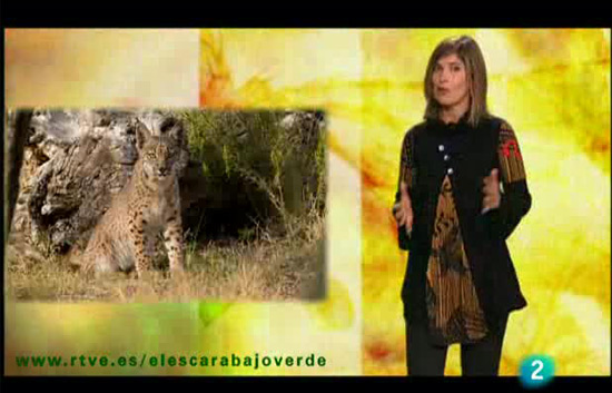 Especies en alerta roja en El escarabajo verde | RTVE.es