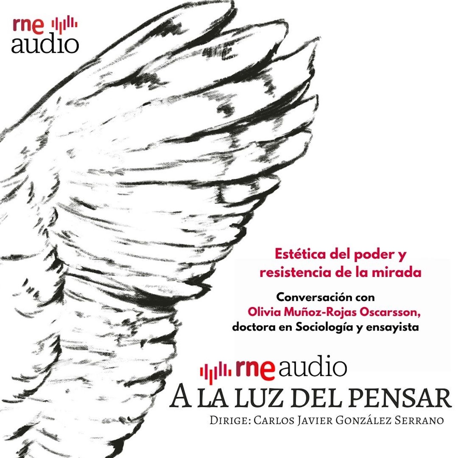 Portada de A la luz del pensar