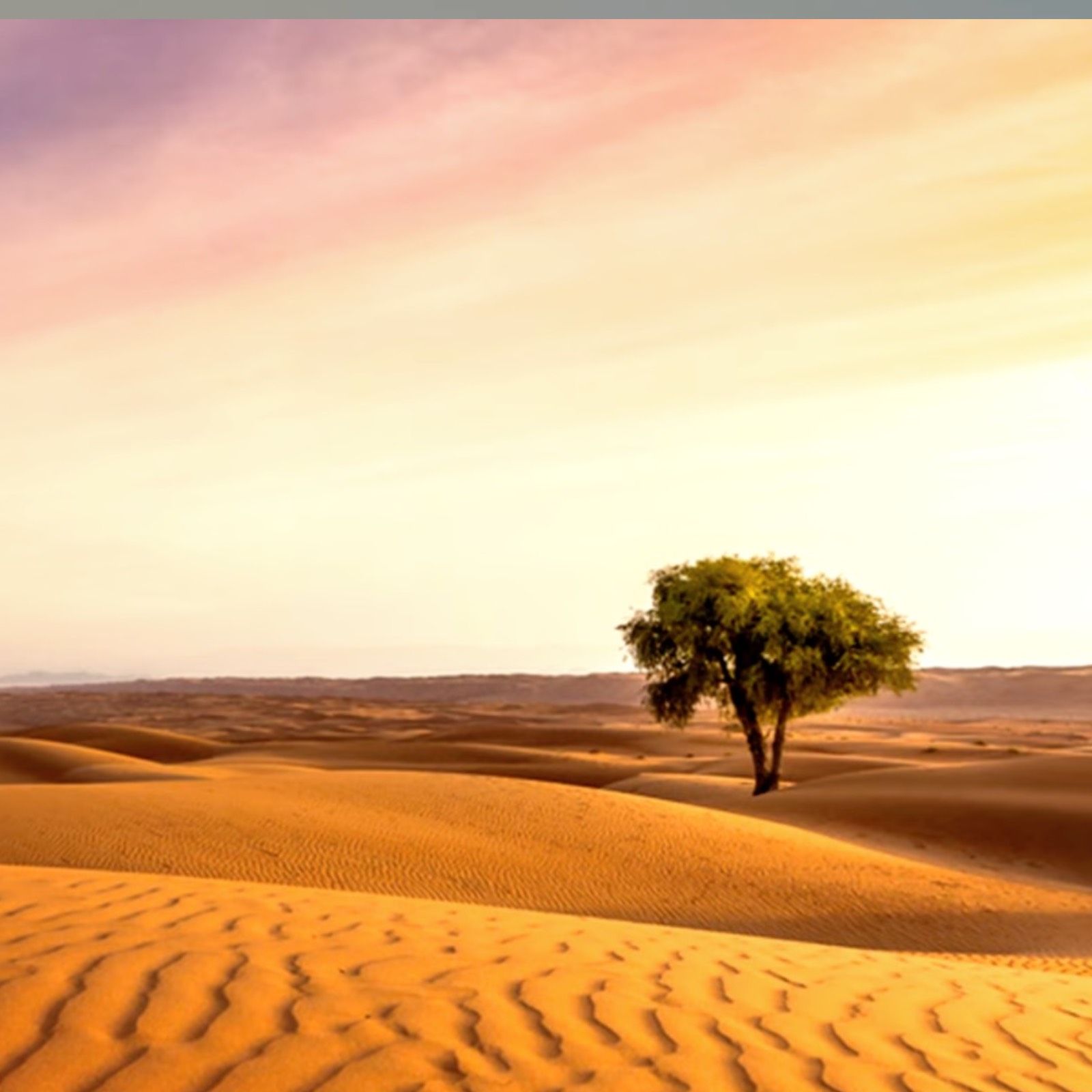 Músicas posibles - Estuaire - 14/02/26