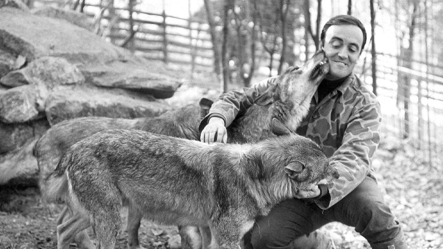 Félix Rodríguez de la Fuente, con sus amigos los lobos