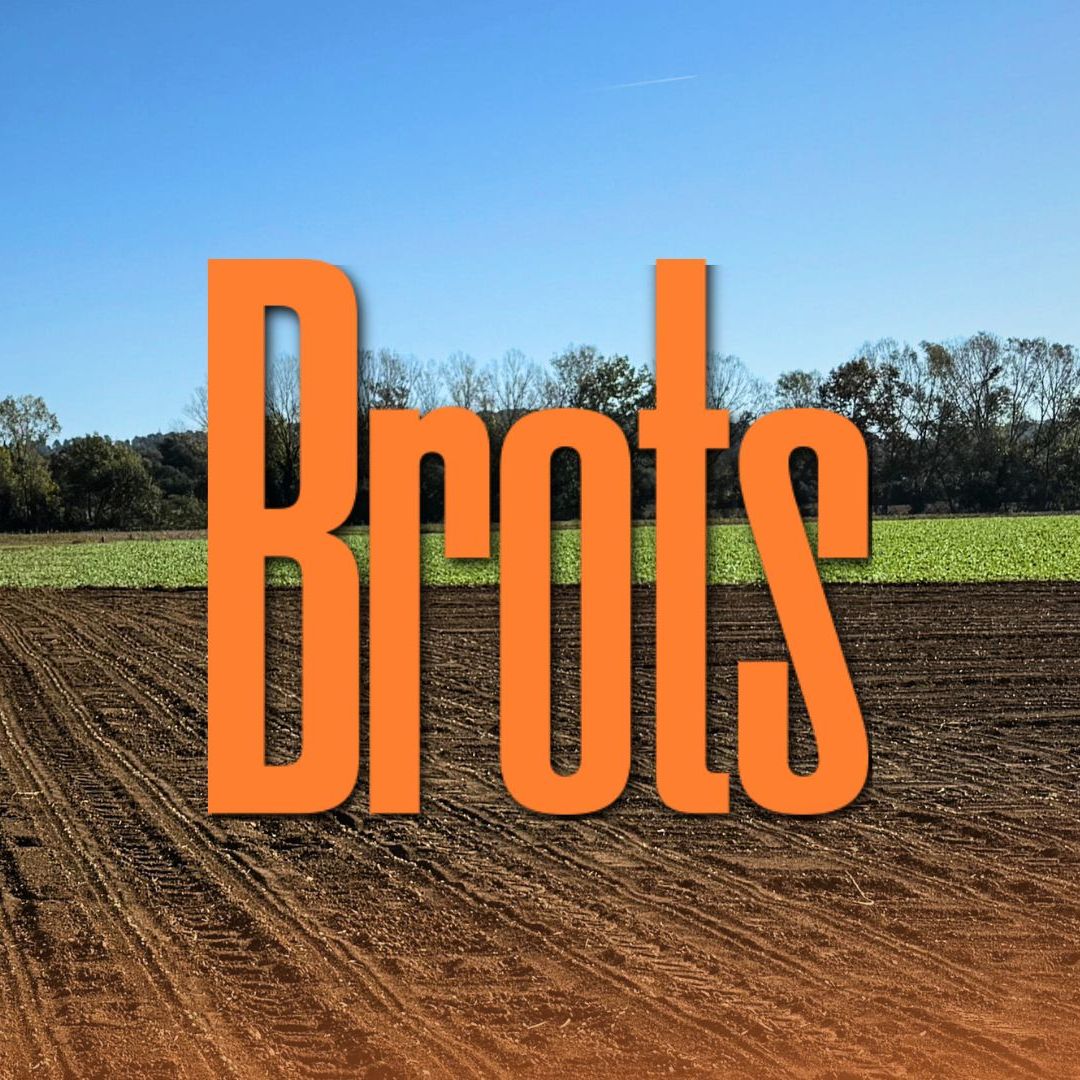 Neix al Baix Empordà el Festival Brots, un homenatge a l'art i l'oli Neix al Baix Empordà el Festival Brots, un homenatge a l'art i l'oli