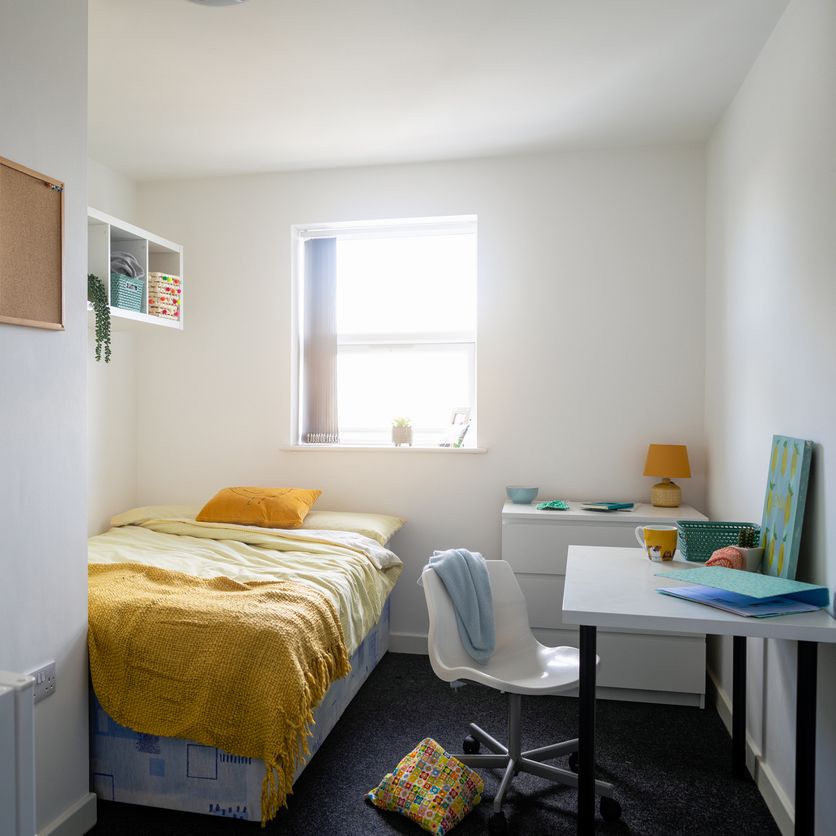 Fin de mes - El precio de las habitaciones a las puertas del arranque del curso episode artwork