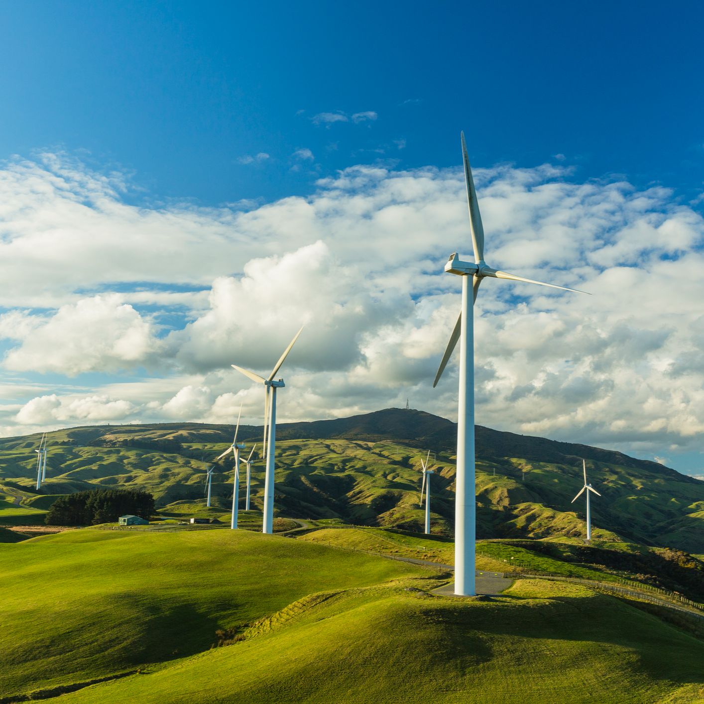 Futuro abierto - Renovables e impacto ambiental - 30/11/25