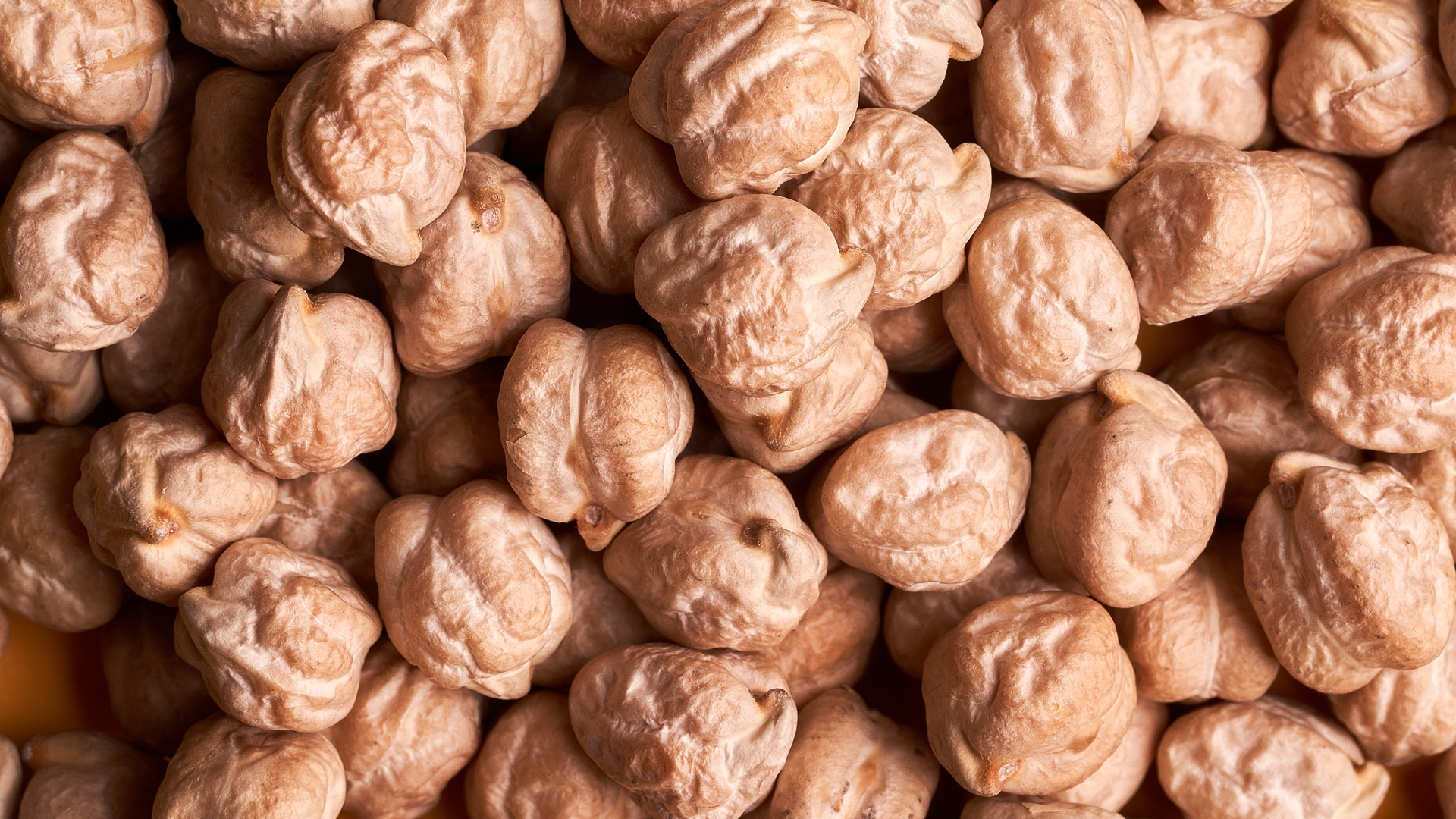 Garbanzos y sus tipos ¿cuáles debo usar en mis recetas?