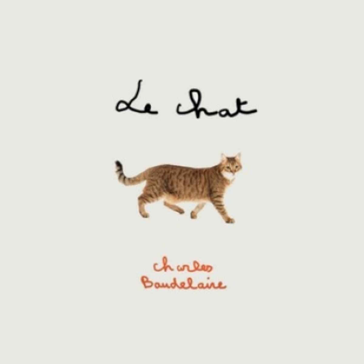 La hora azul - El gato se pasea... de nuevo - 14/11/25