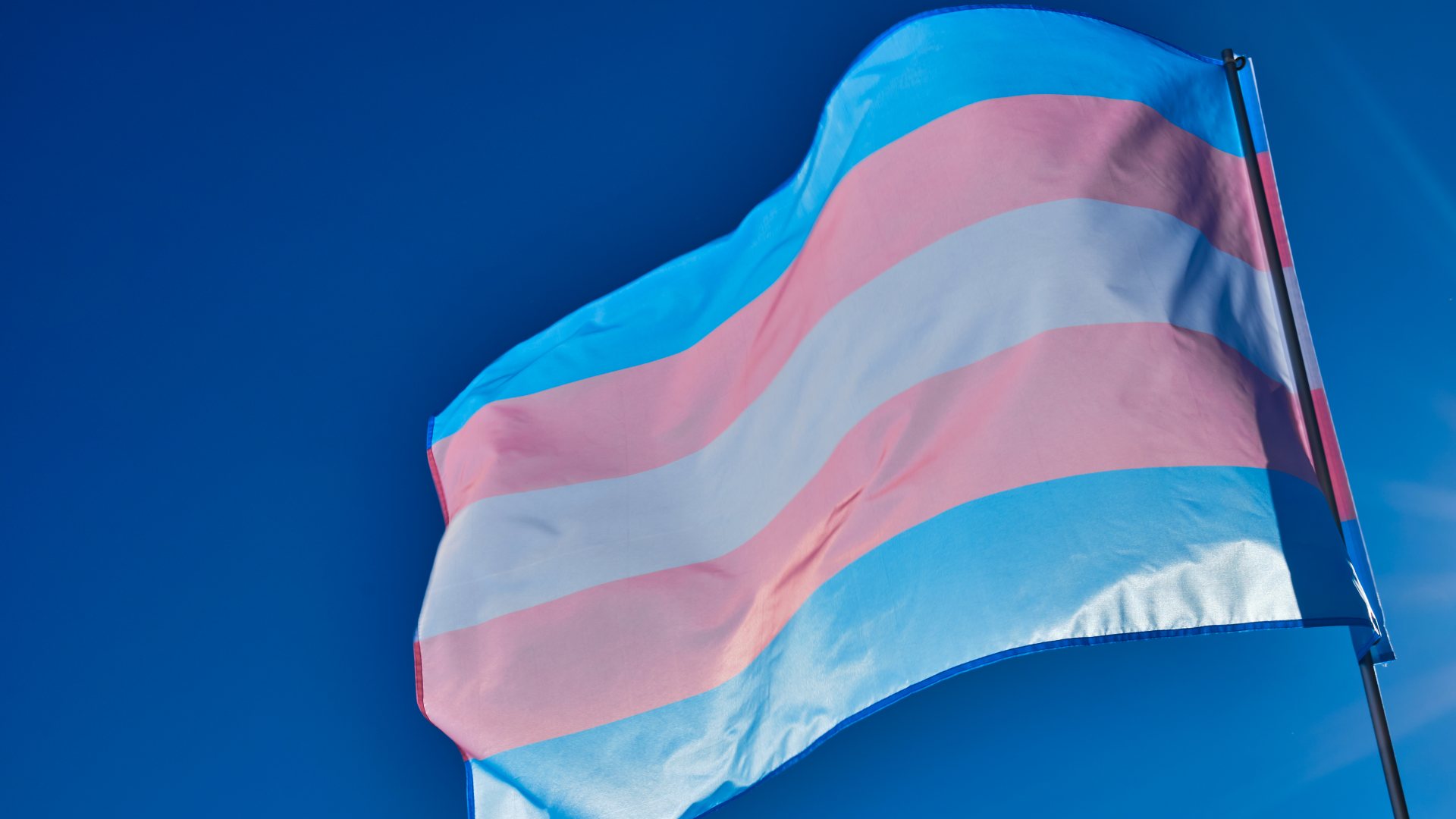 El Gobierno Aprueba La Ley Trans Que Reconoce La Libre