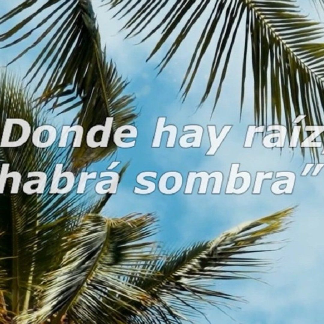 Mediterráneo - La Gomera y Lanzarote. Silbo y un tapiz de refranes - 04/01/26