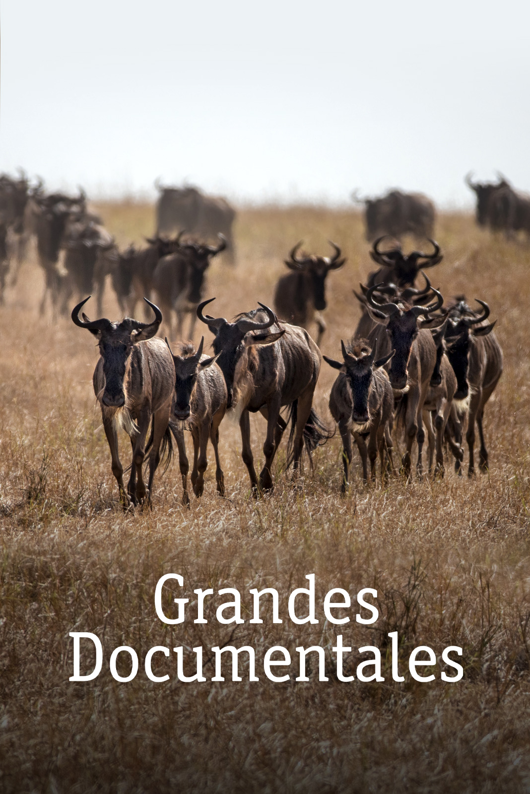 Grandes documentales