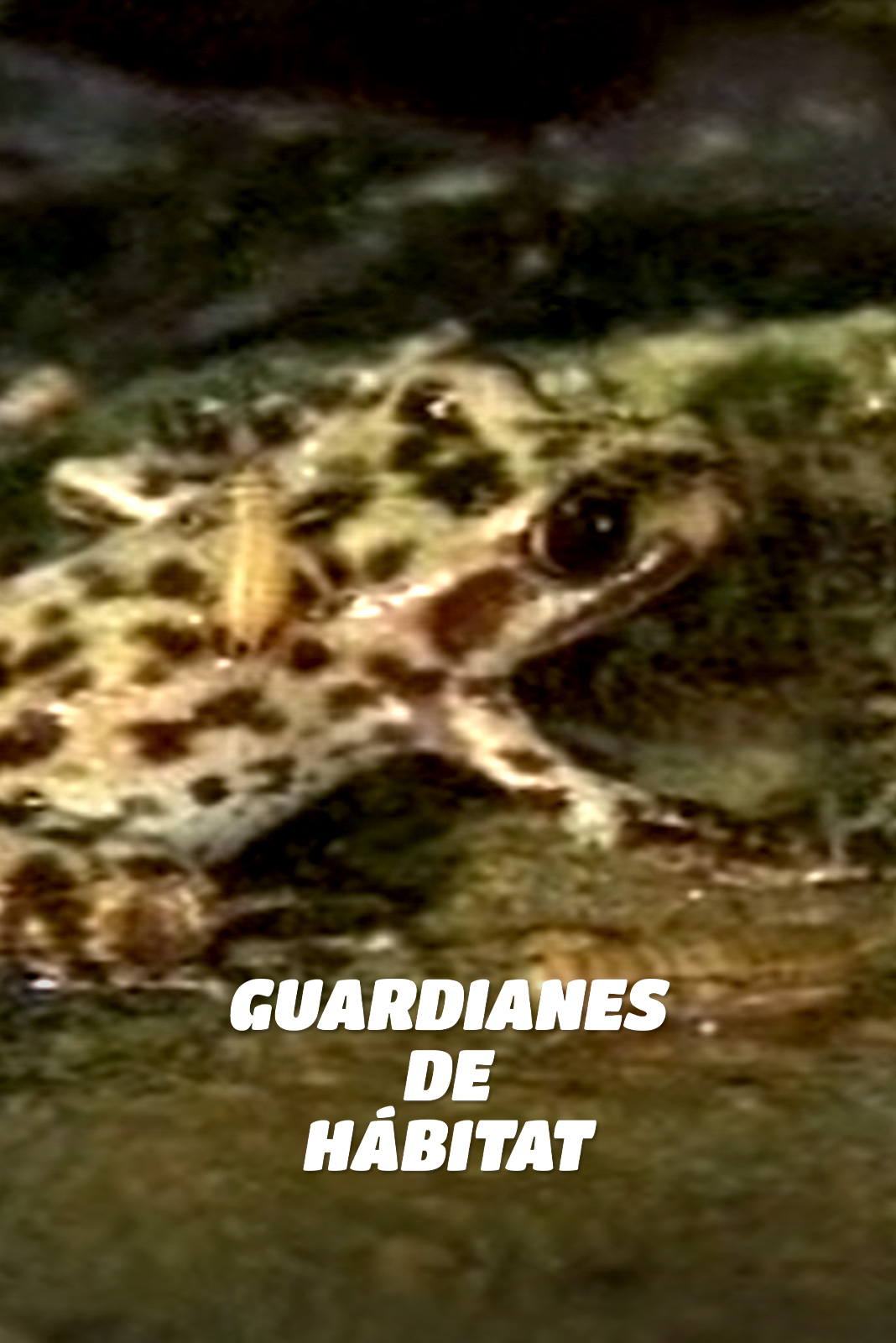Guardianes de hábitat