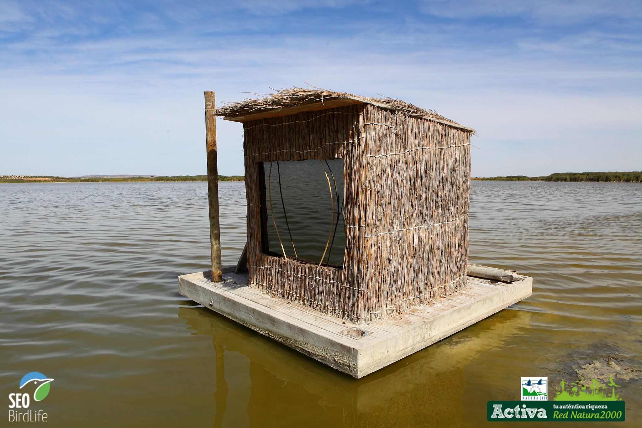 Hide en el Taray, Humedales de la Mancha Hide en el Taray, Humedales de la Mancha