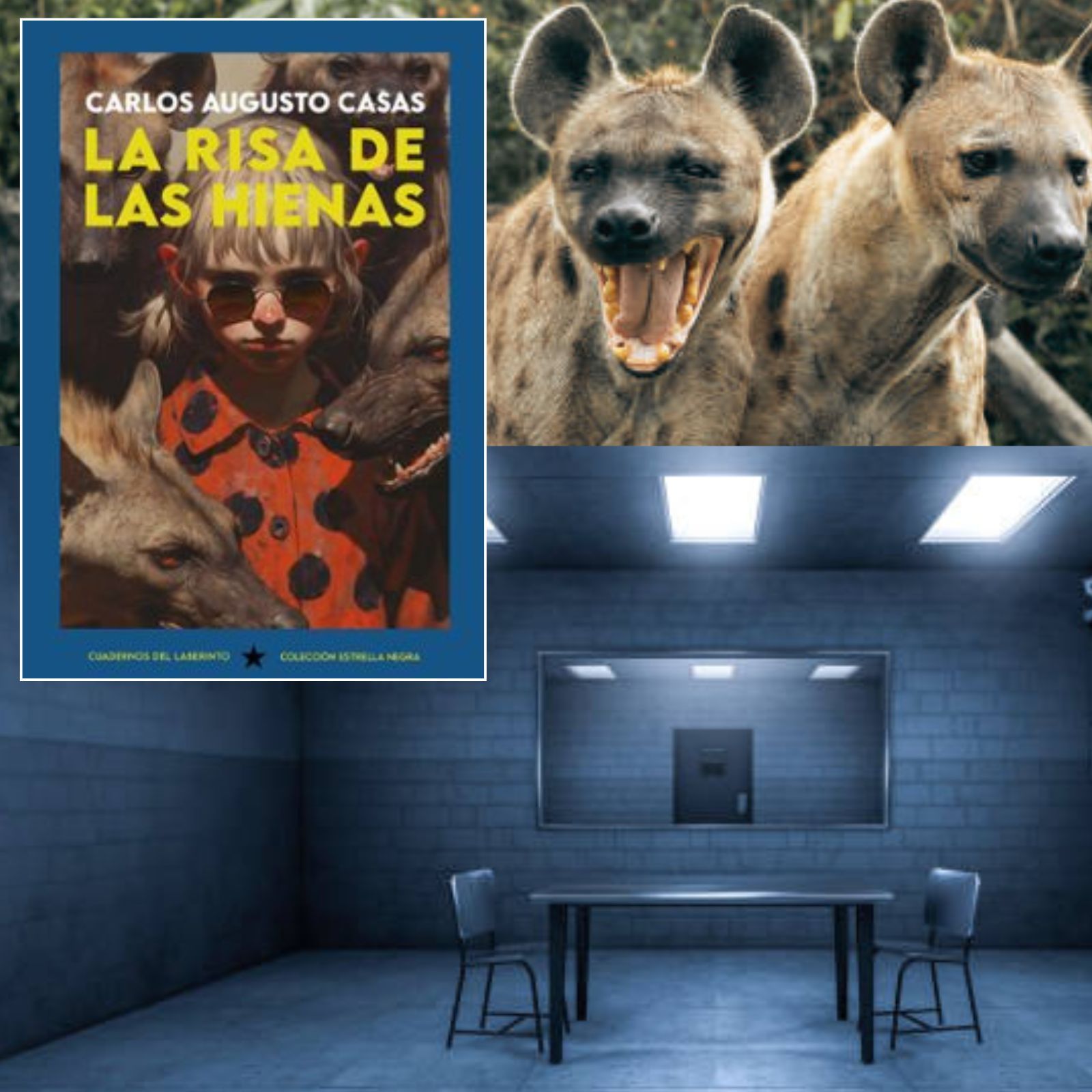 Todos somos sospechosos - Hienas y delitos - 11/06/26 episode artwork