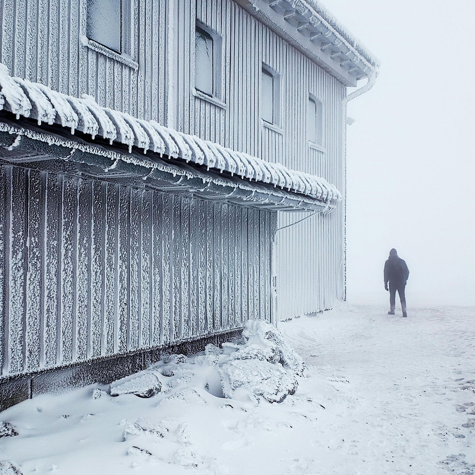 Frank T presenta... - HIP HOP MENÚ. Cold - 13/05/26 episode artwork