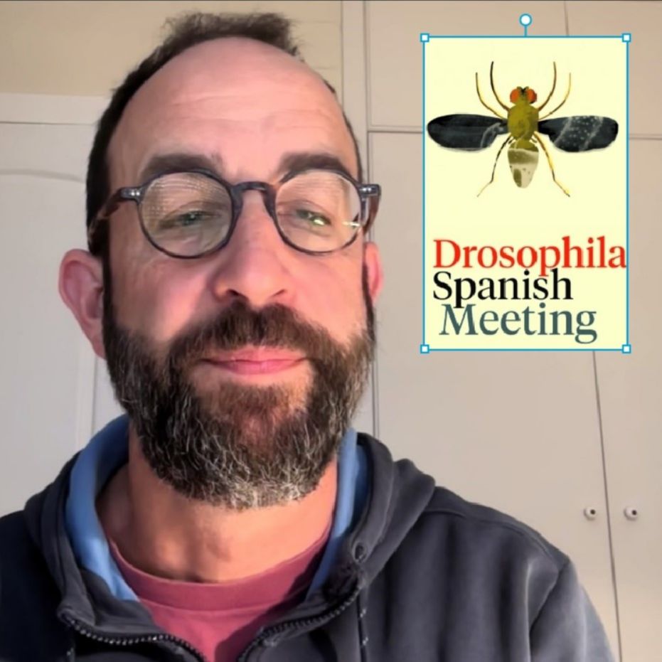 A hombros de gigantes - La humilde mosca de la fruta, más de un siglo al servicio de la ciencia - 26/04/2026