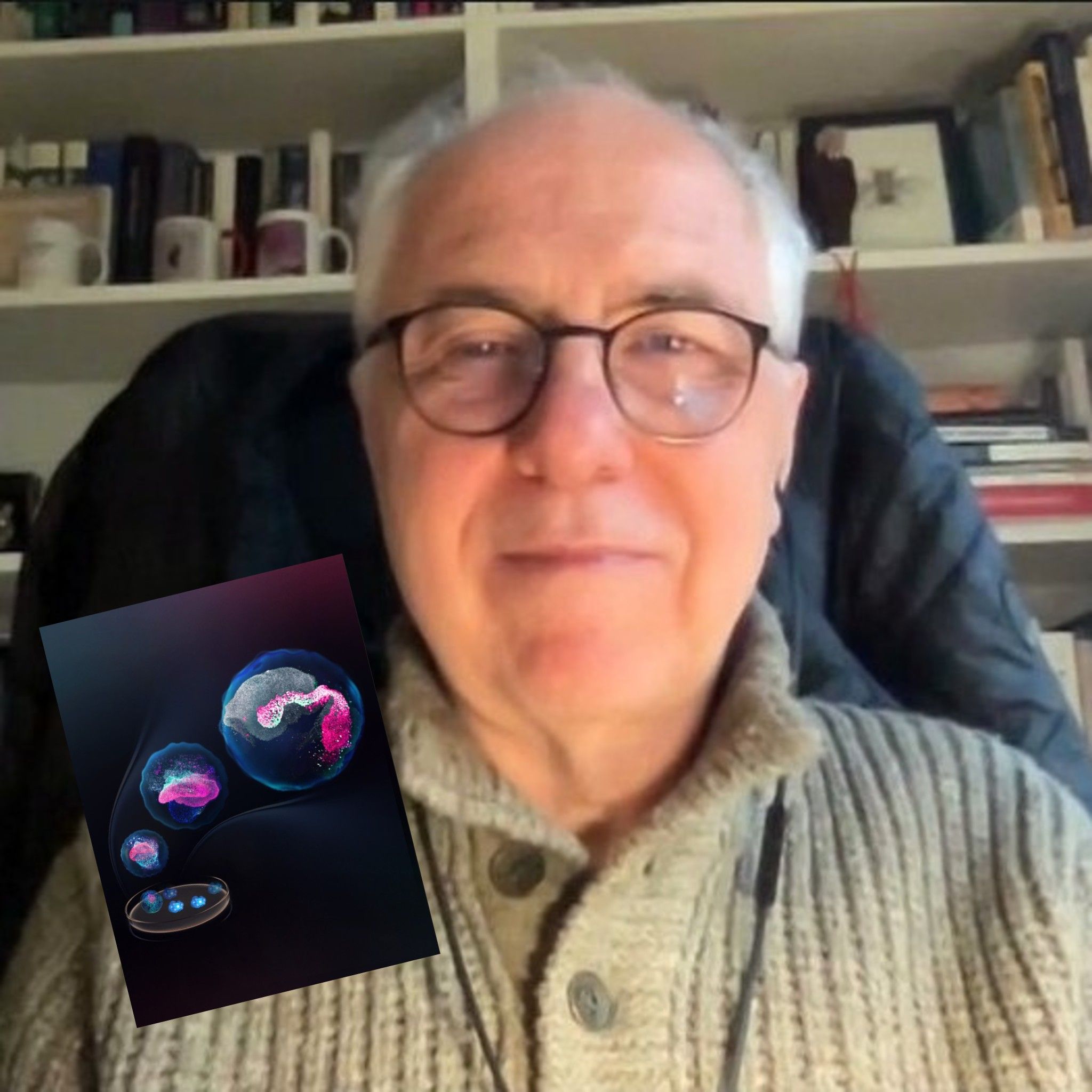 A hombros de gigantes - Primer modelo de laboratorio para estudiar la gastrulación en primates - 14/12/2025