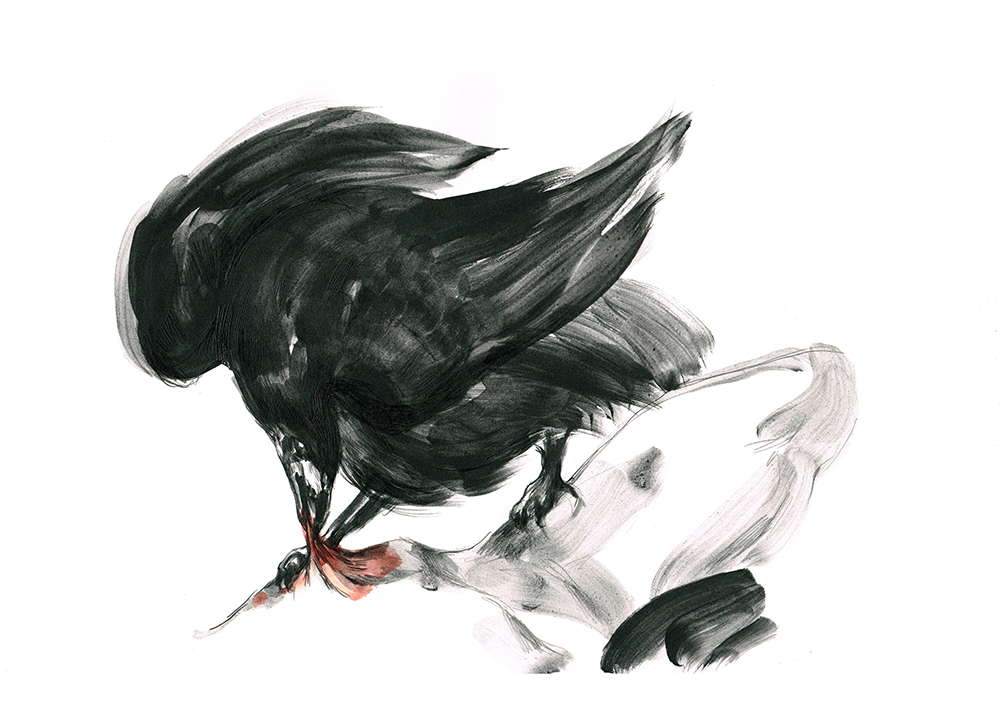 Ilustración del libro 'La sed', de Paula Bonet