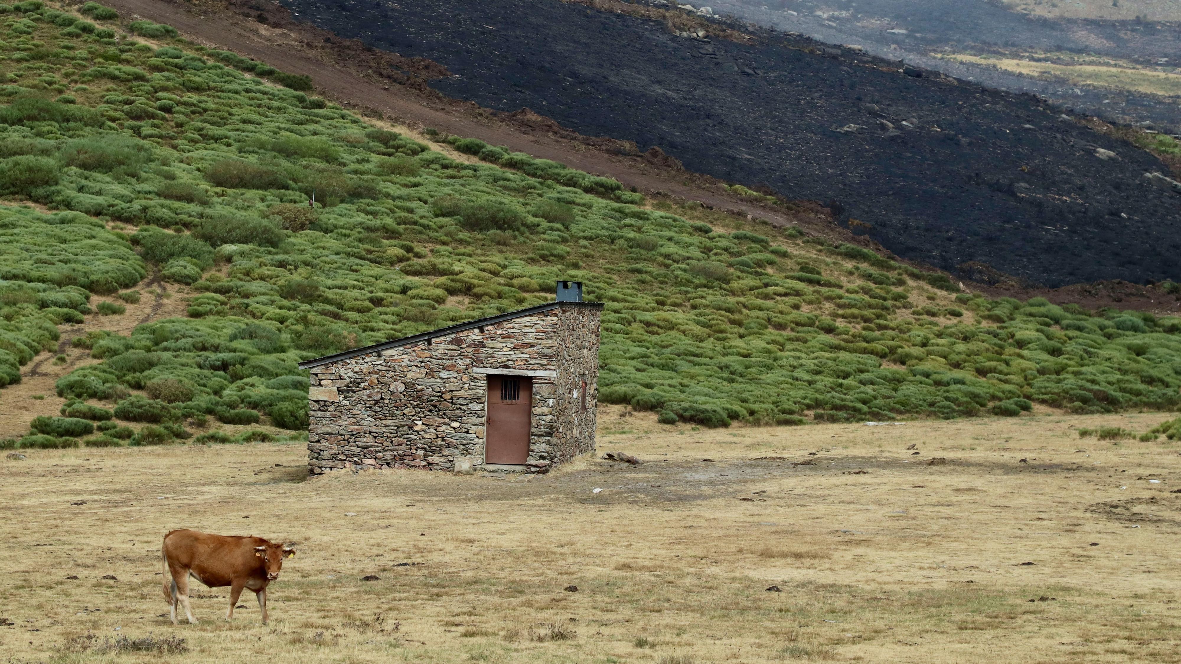 Estabilizado el incendio de Lebrín, Almería, mientras seis fuegos siguen activos en nivel 1 en Castilla y León