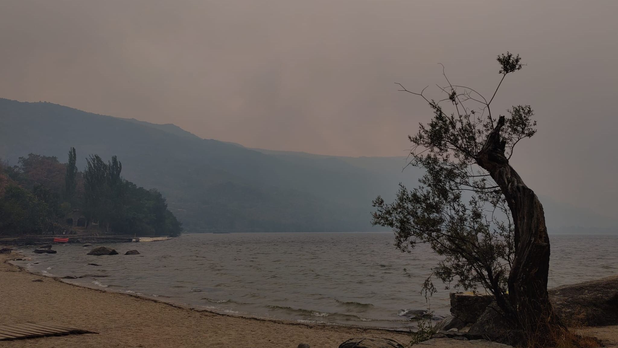 "Sabemos gestionar el monte, pero ahora no dejan cortar ni un tronco": frustración en el fuego del parque natural de Sanabria