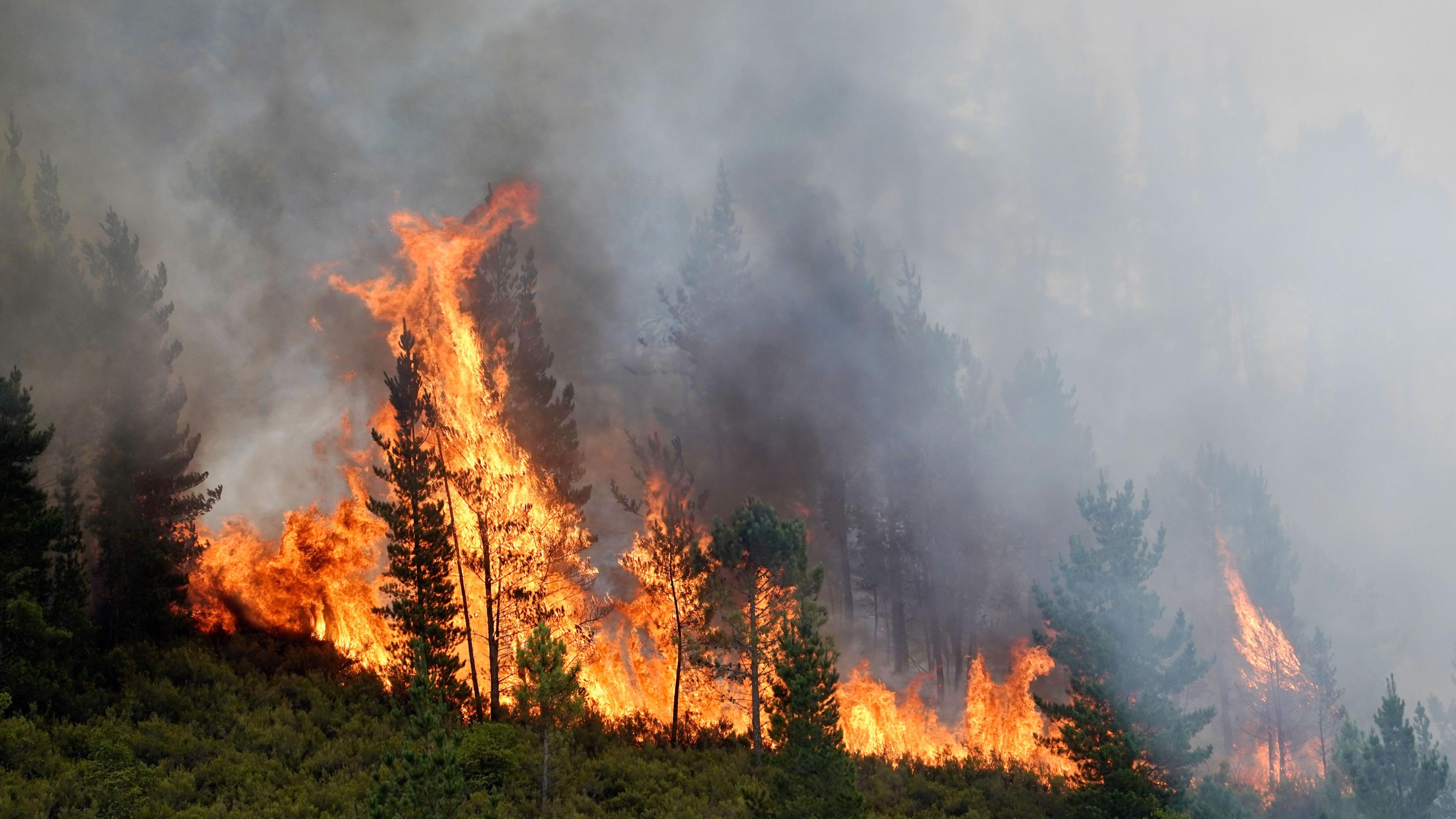 Incendios en España hoy, última hora en directo | Grandes incendios siguen activos en León, Zamora y Asturias