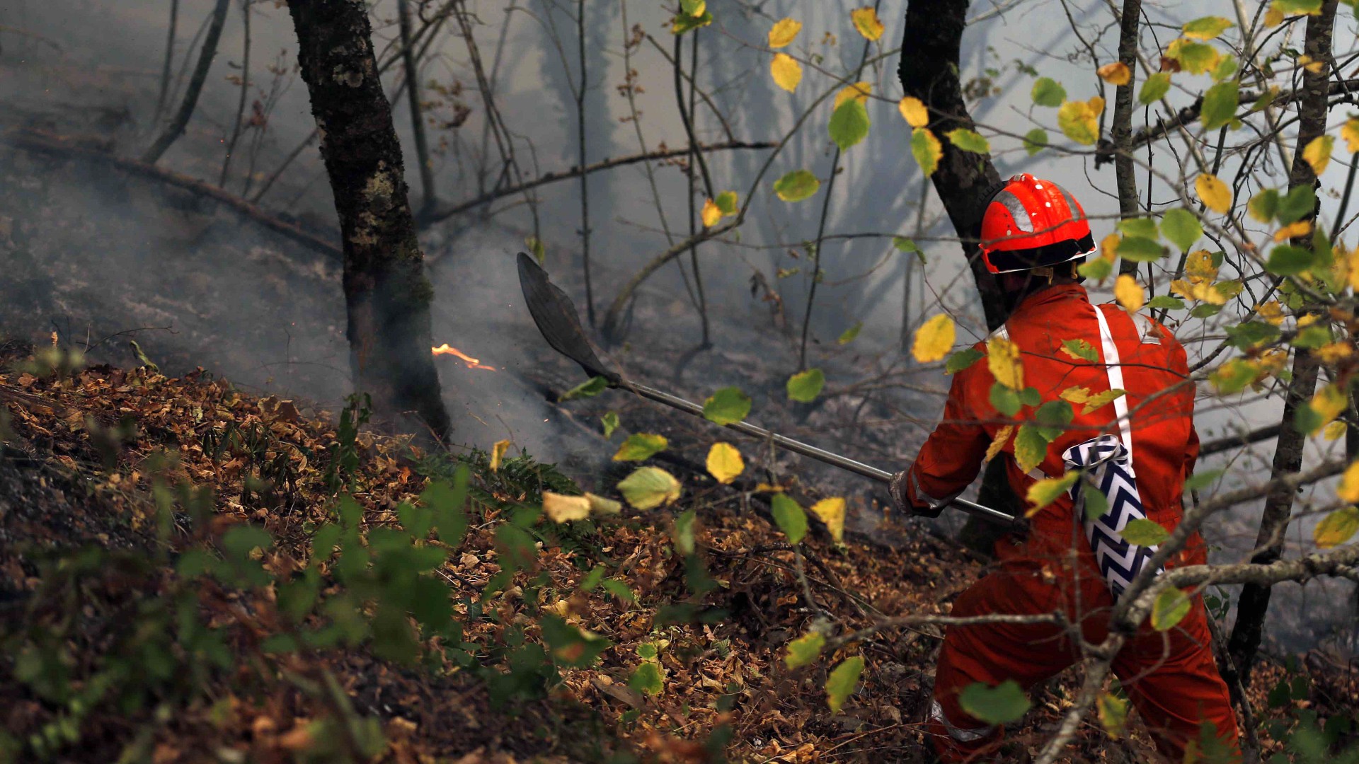 Galicia y Asturias registran varios incendios forestales