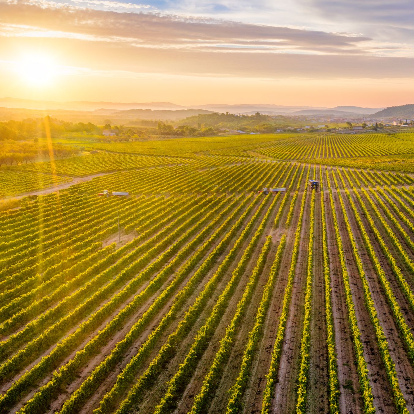 Mundo rural - Inicio de la campaña de la Política Agraria Común 2026 - 26/01/26