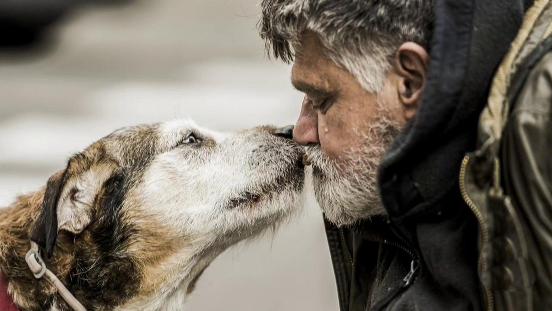 El perro, principal apoyo del 74% de personas sin hogar: "Mi familia me abandonó hace mucho, mis perros nunca"