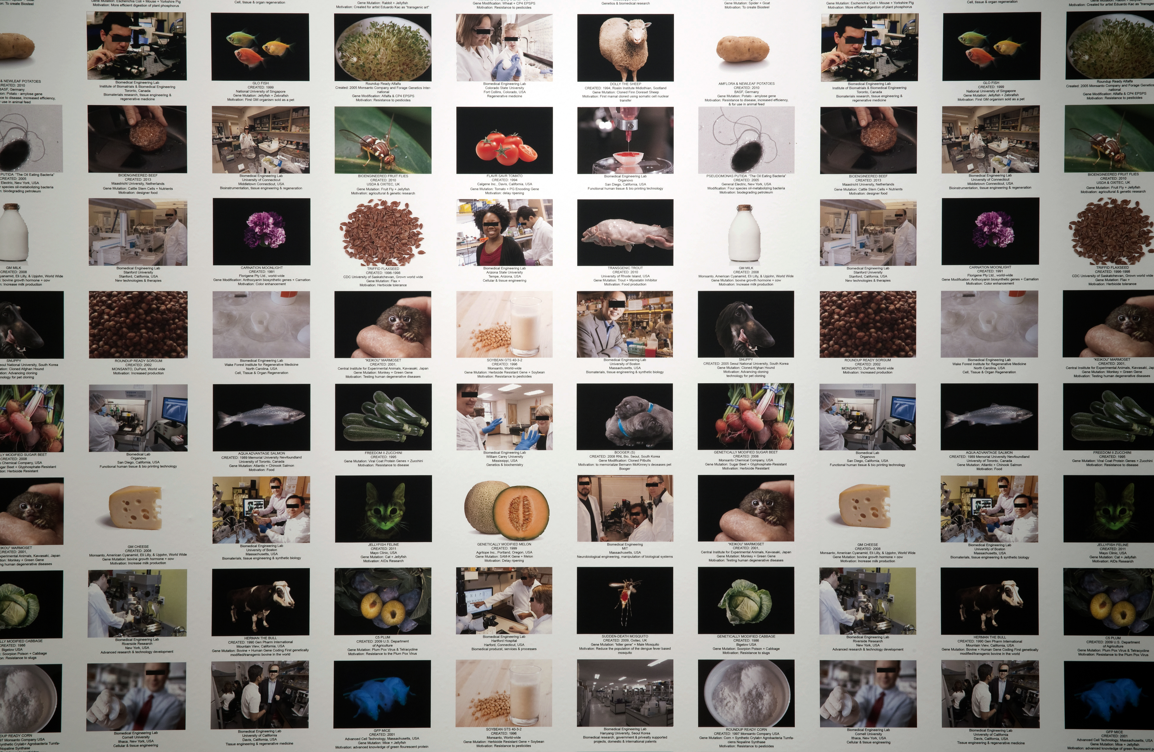 instalación INFINITY ENGINE (2013-2014), de Lynn Hershman Leeson