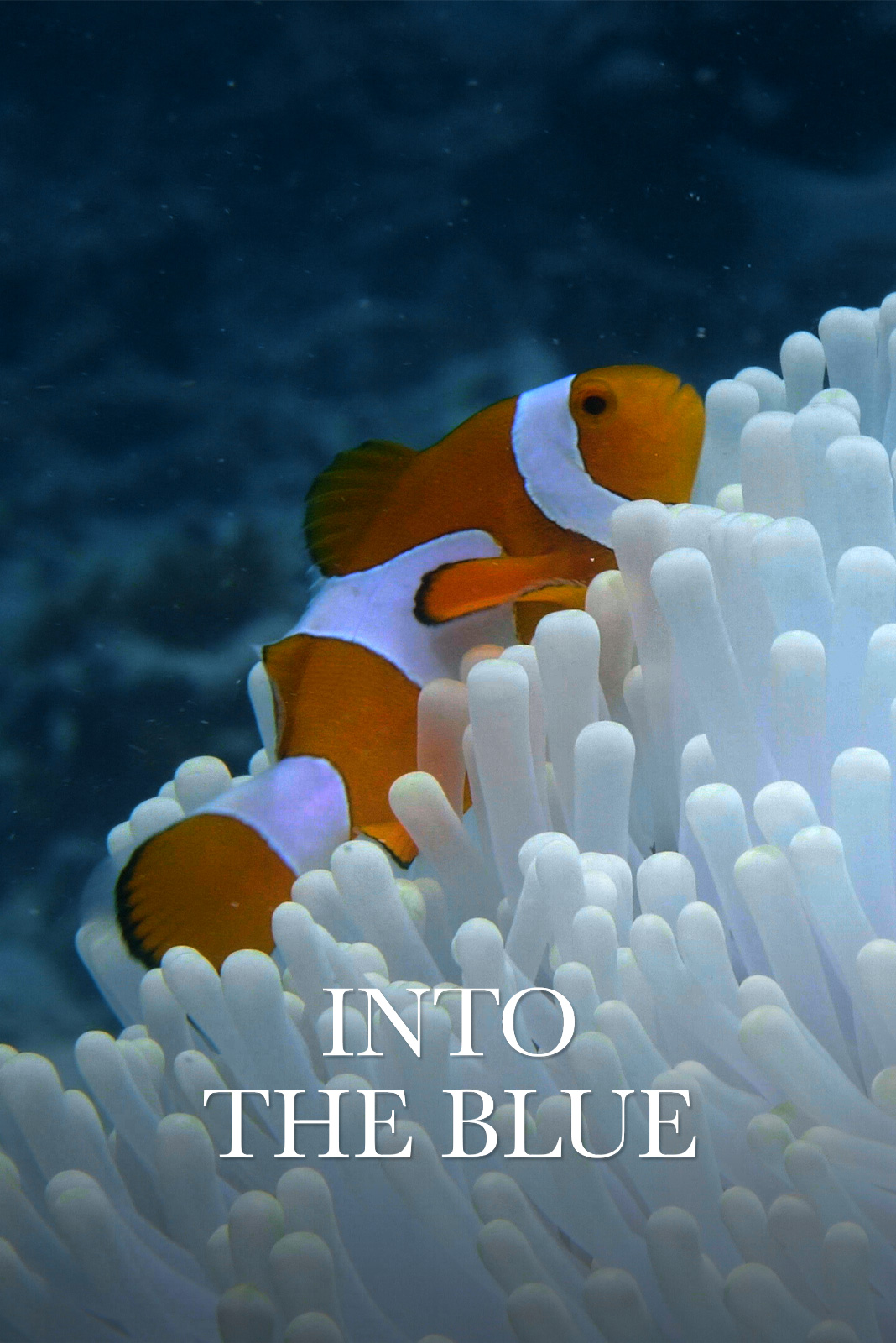Into the blue