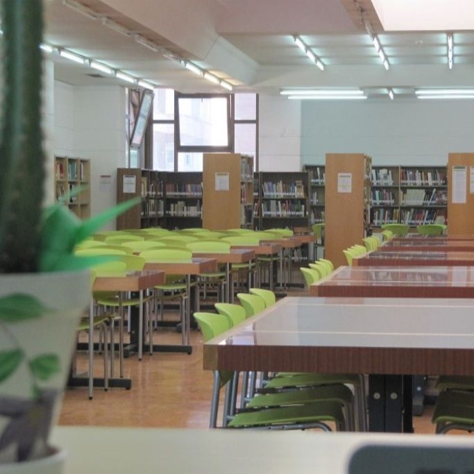 "Llegó internet y también se dijo que las bibliotecas iban a desaparecer". Isabel Lecanda, directora de la Biblioteca Universitaria de la UVa