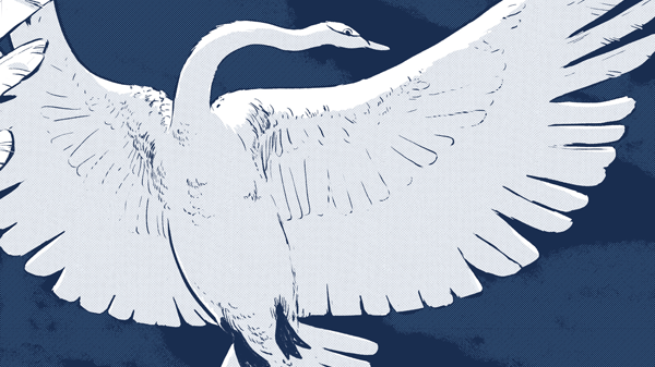 Islena Neira: "'El cisne oculto' es fruto de la improvisaci�n y refleja mis estados de �nimo"