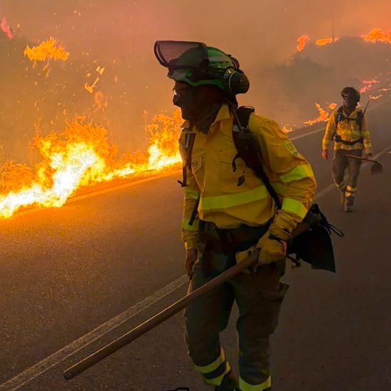 Plataforma de Bomberos Forestales: "Los incendios son cada vez más voraces" episode artwork