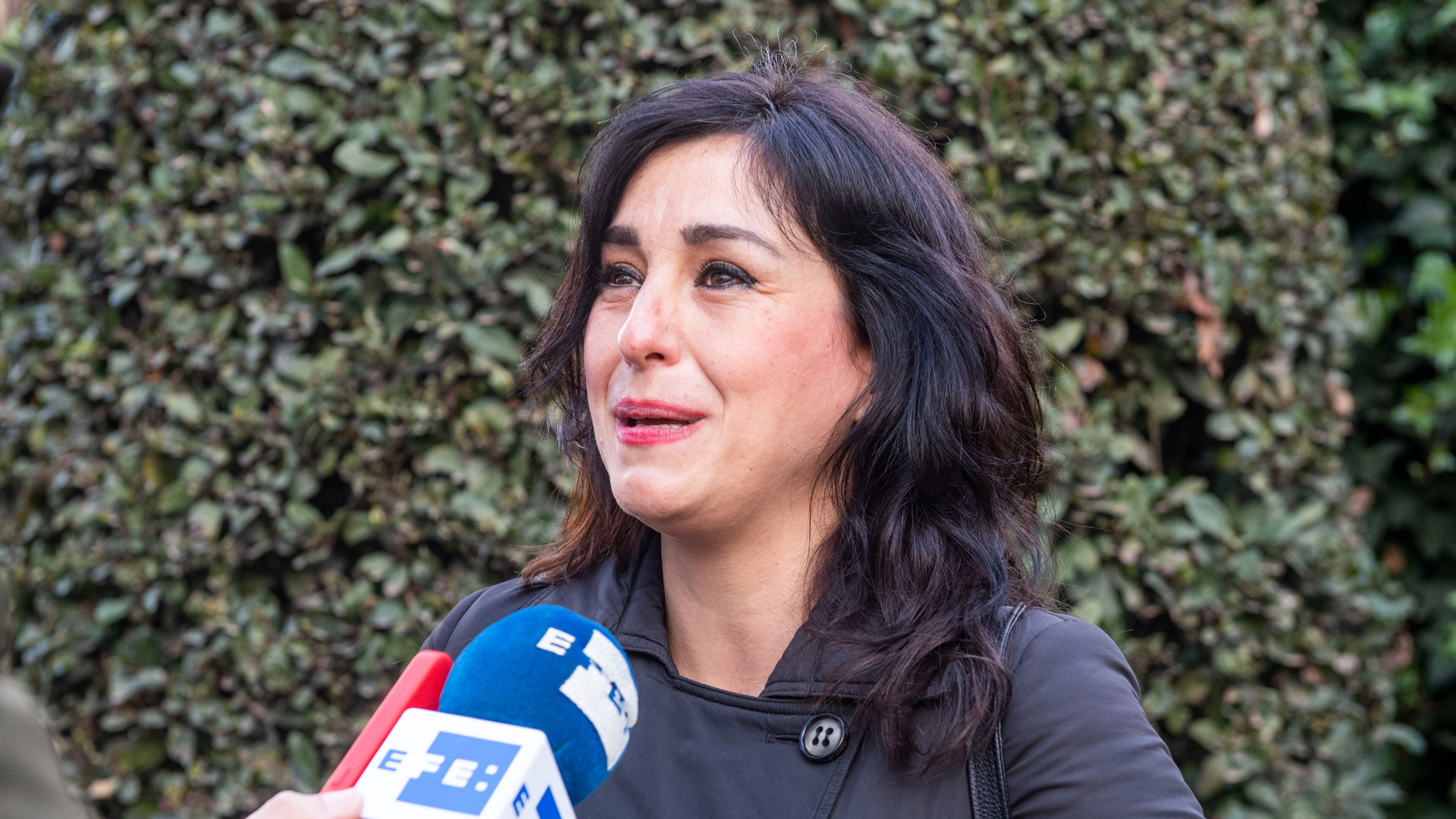 Juana Rivas pide amparo al Constitucional en su querella contra el juez ...