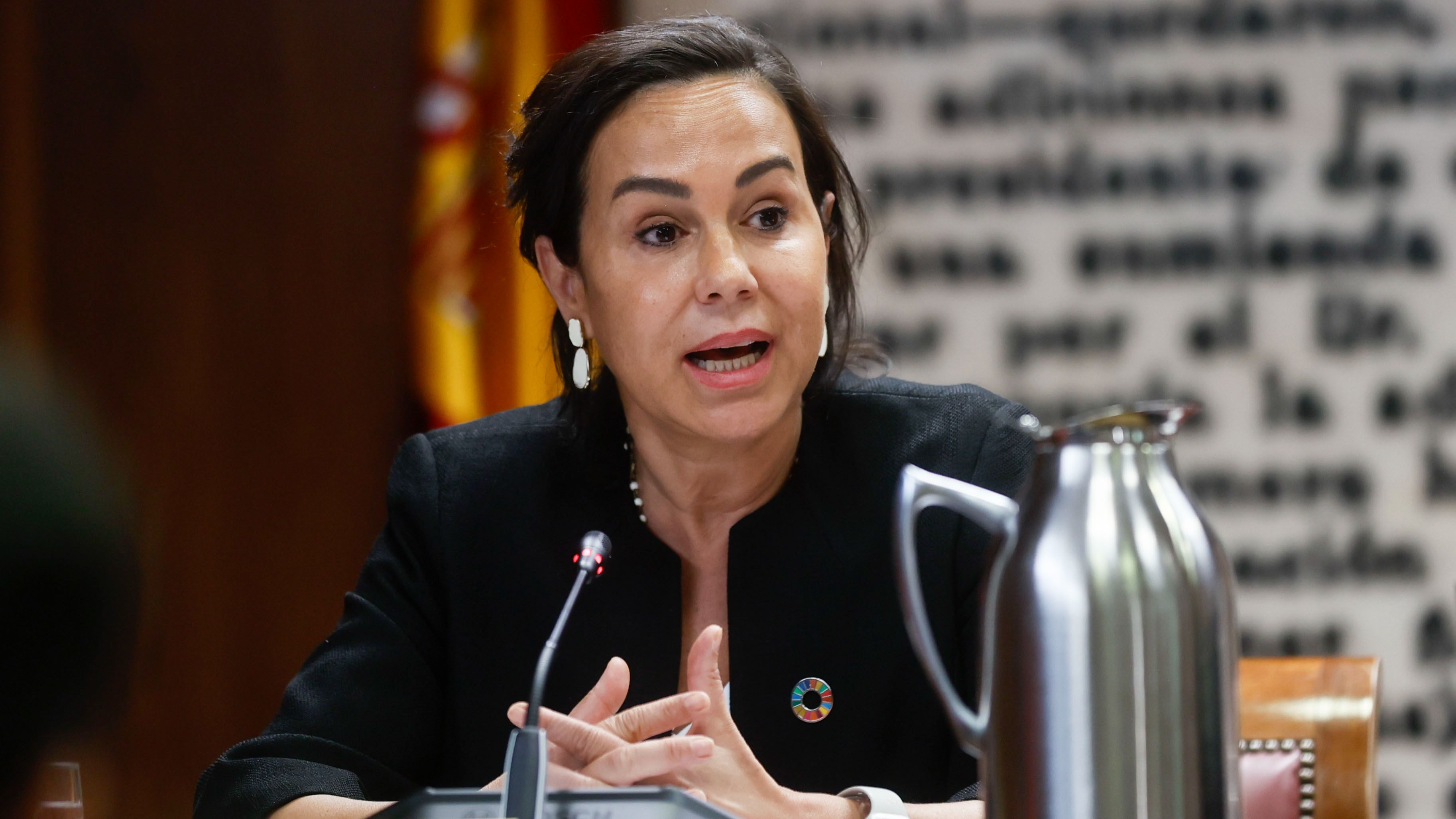 El juez del caso Koldo aplaza la declaración de Pardo de Vera tras una ...