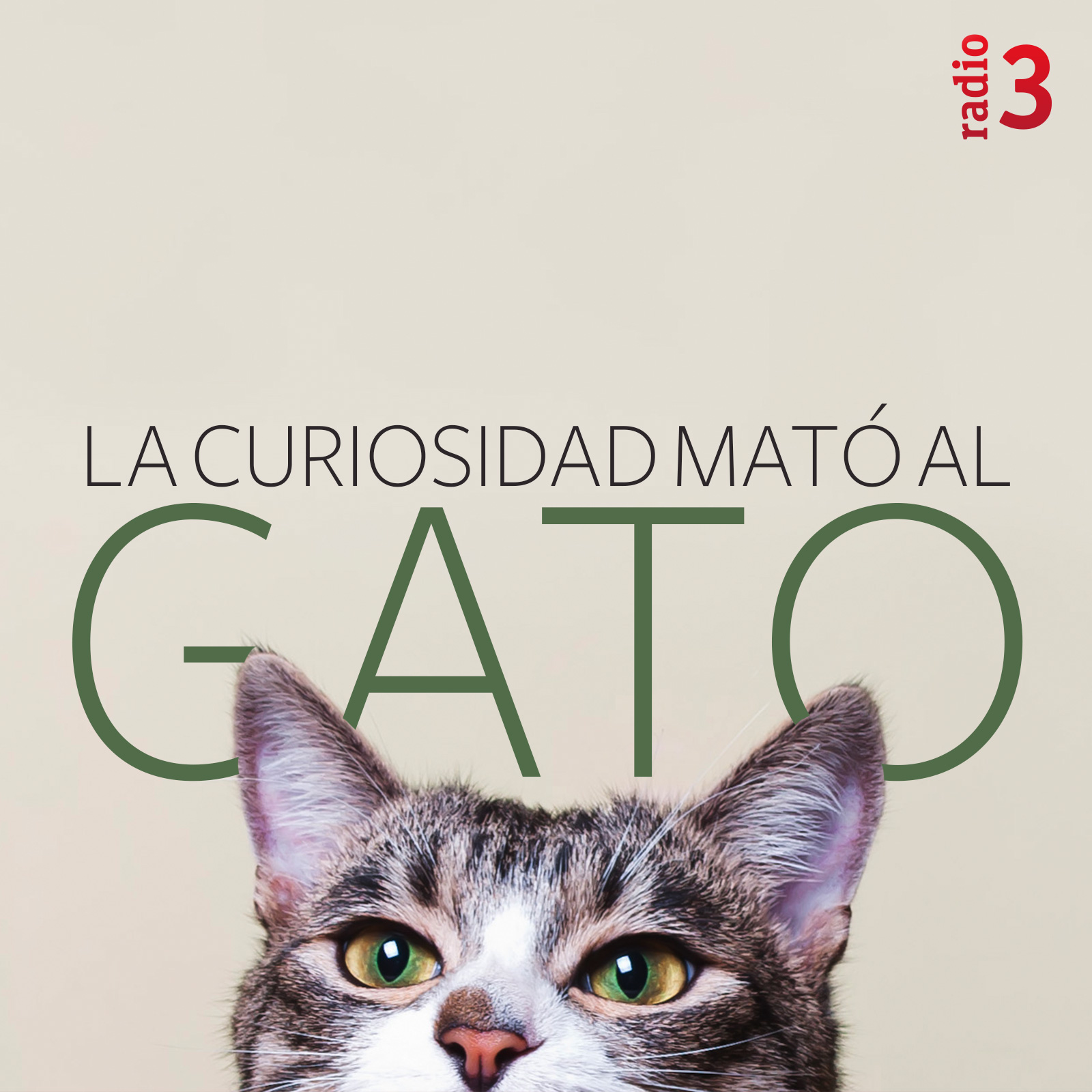 La curiosidad mató al gato