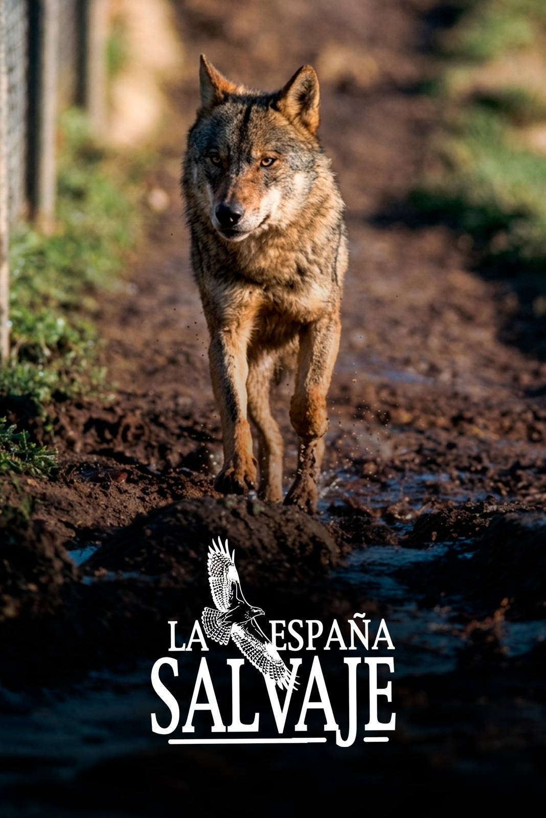La España salvaje