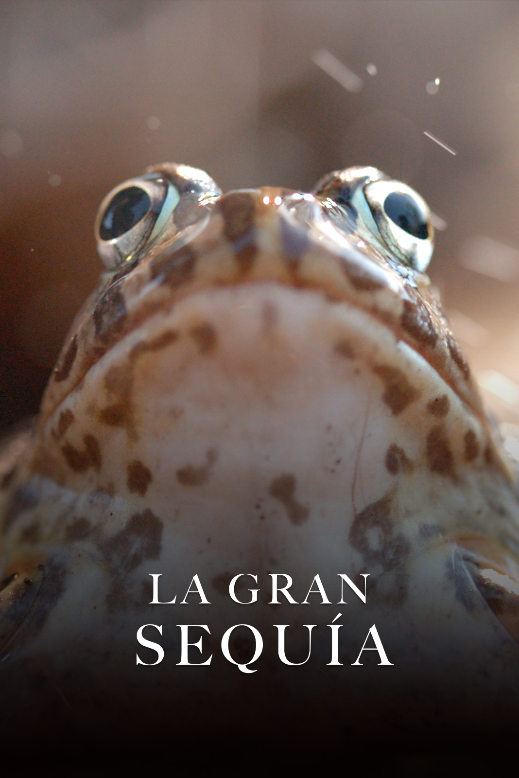 La gran sequía