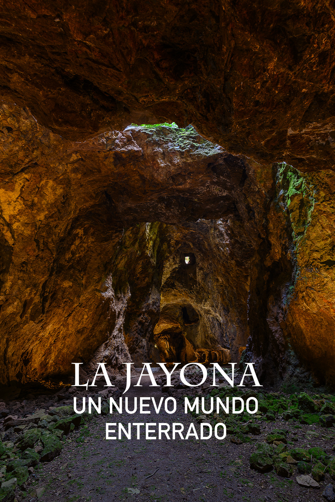 La Jayona. Un nuevo mundo enterrado