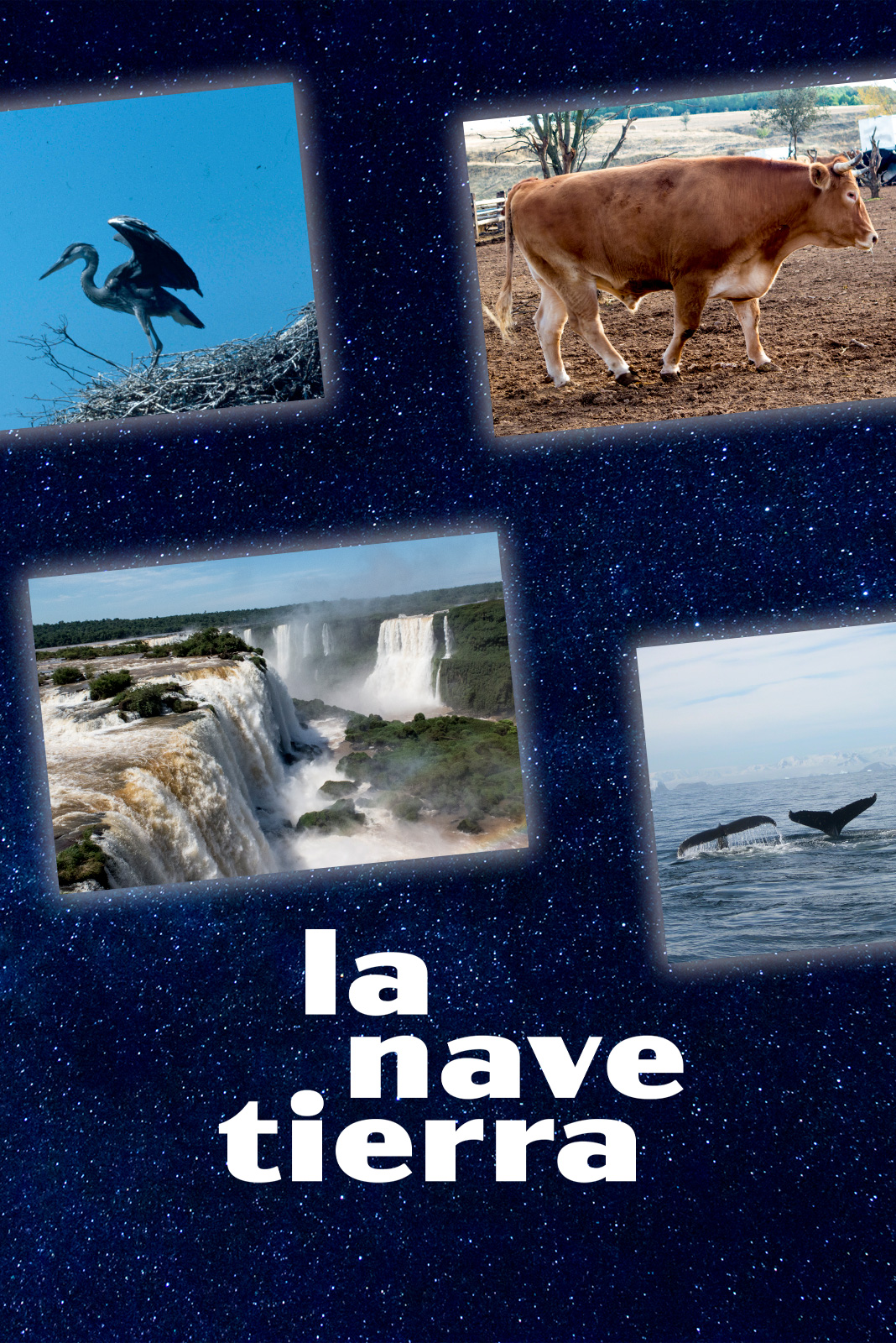 La nave Tierra