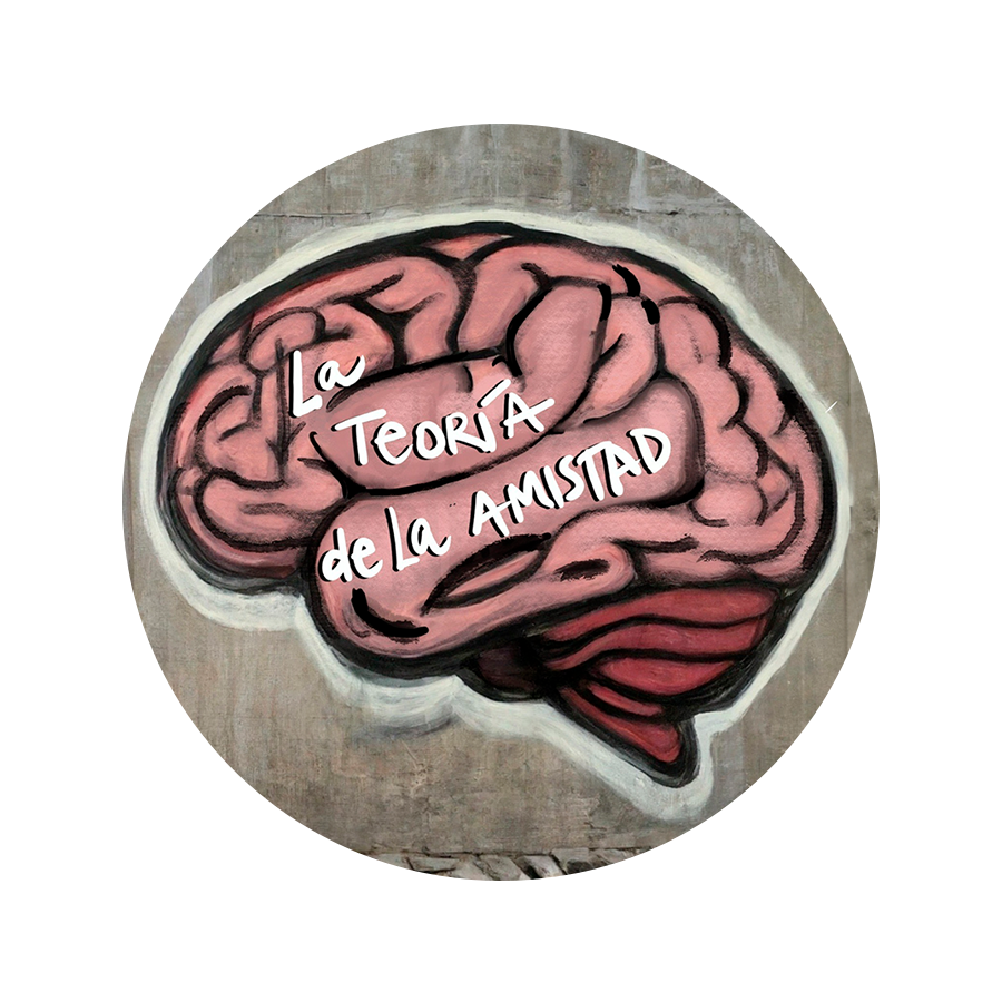 La teoría de la amistad