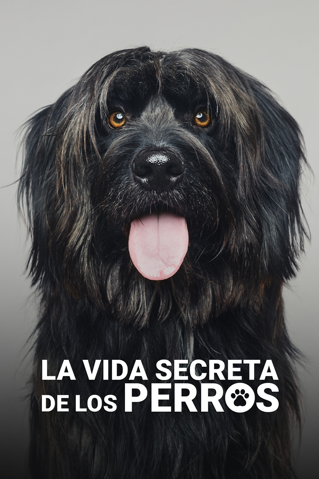 La vida secreta de los perros