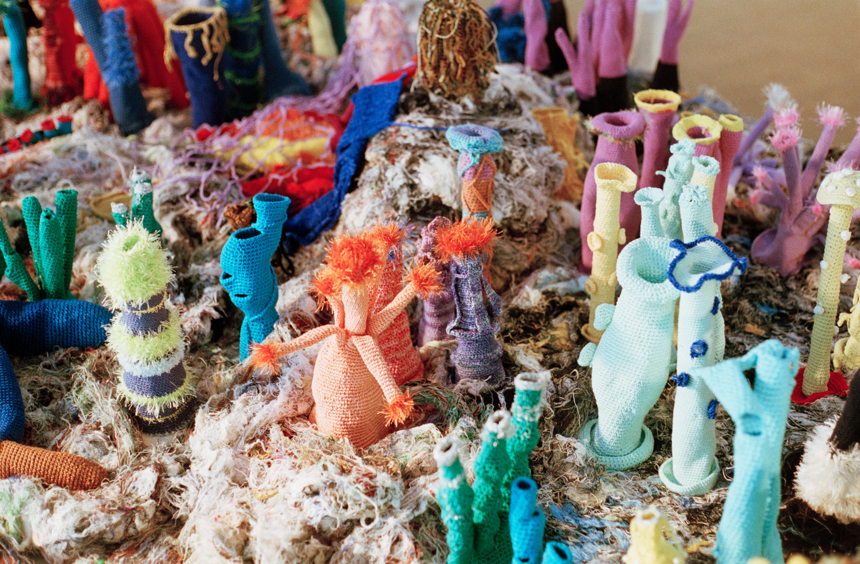 Lady Musgrave Reef (2002-2021) de Petra Maitz