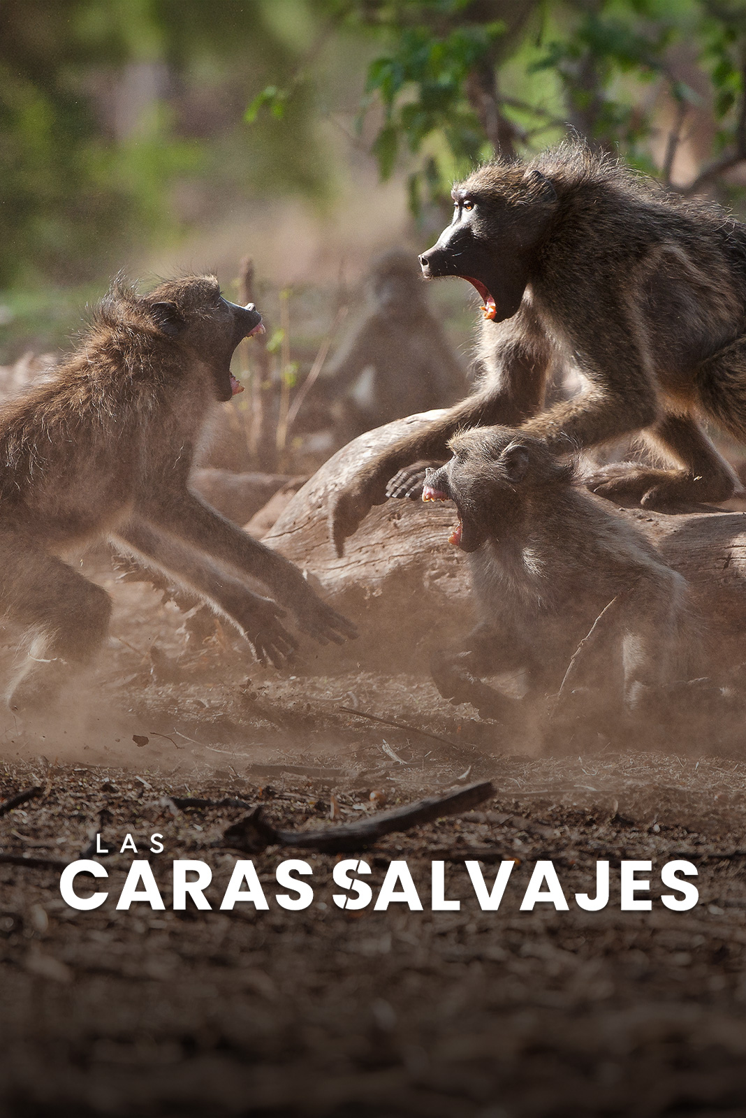 Las caras salvajes