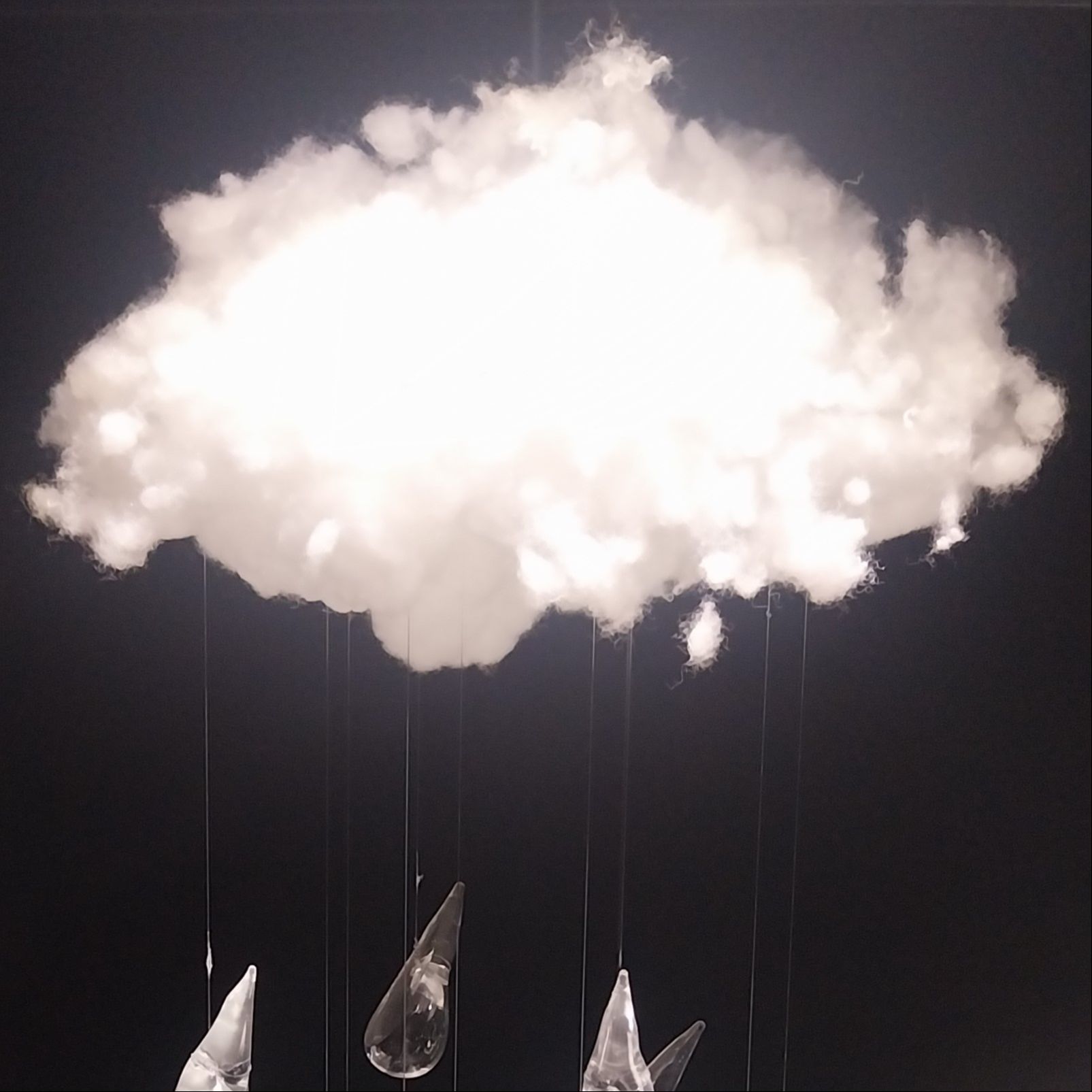 Escribano Palustre - Lecturas de verano - 11/08/25