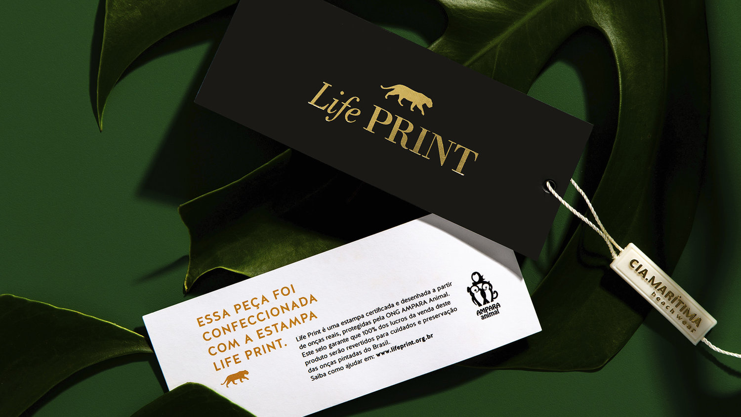 LIFE PRINT, de Africa para AMPARA Animal NGO (Brasil)