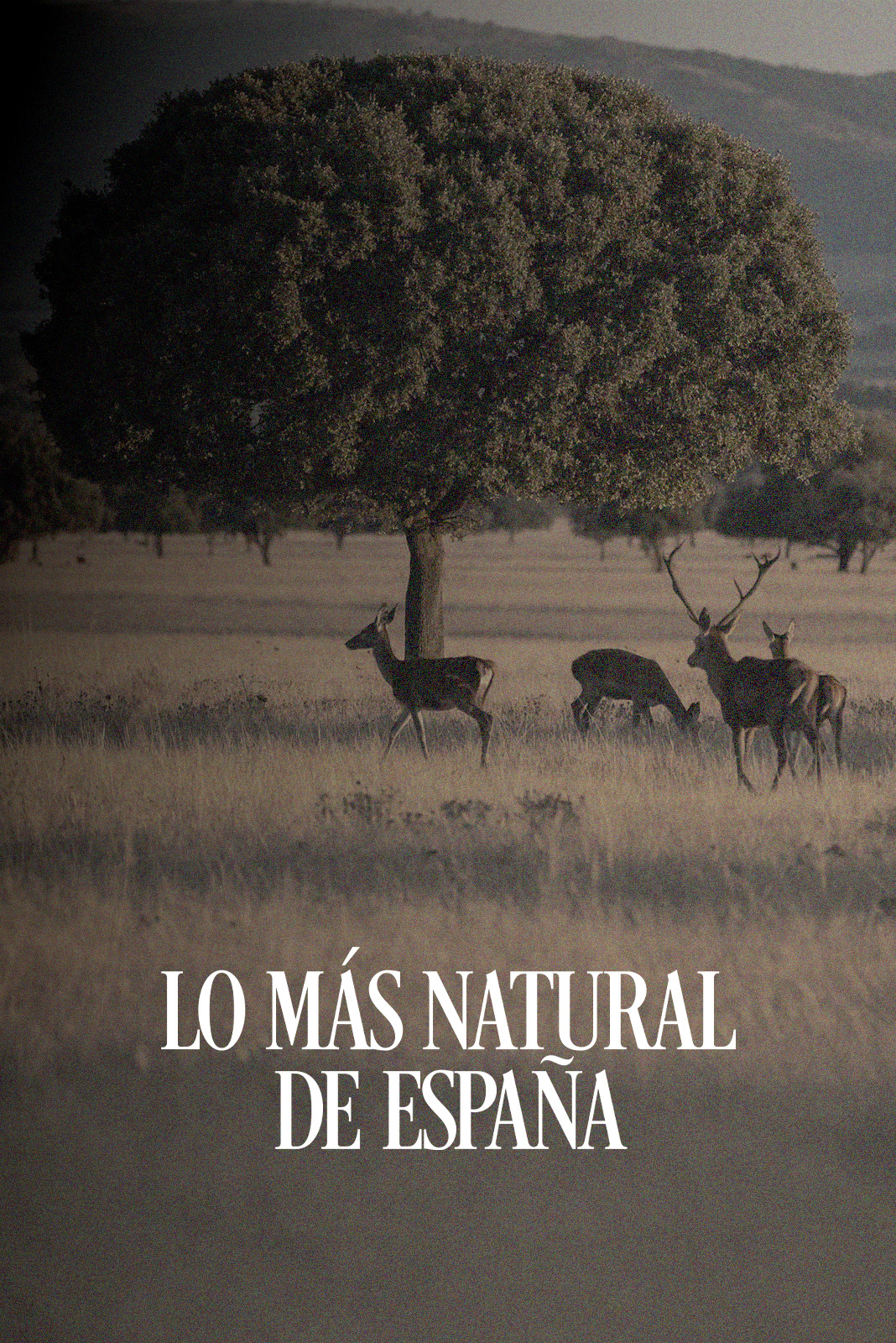 Lo más natural de España