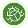 El escarabajo verde